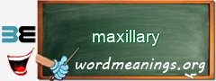 WordMeaning blackboard for maxillary